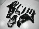 Brillante Negro Carenado Kawasaki EX650 2006-2008