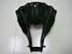 Brillante Negro Carenado Kawasaki ZX10R 2011-2015 Brillante Negro Carenado Kawasaki ZX10R 2011-2015