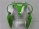 Carenados Moto Kawasaki ZX6R 2000-2002 - Verde Negro