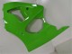 Carenados Moto Kawasaki ZX6R 2000-2002 - Verde Negro