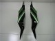 Carenado Moto Kawasaki ZX6R 2013-2018 - Verde Negro Brillante