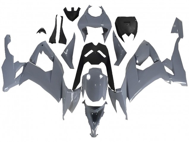 Carenados Moto Kawasaki ZX10R 2008-2010 - Nardo Gris
