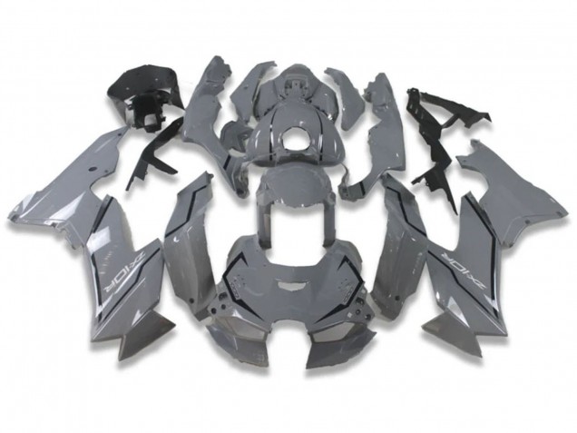 Carenados Moto Kawasaki ZX10R 2021-2025 - Nardo Gris