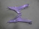 Carenados Moto Kawasaki Ninja 650 EX650 2020-2026 - Camaleón Gris Dazz Púrpura Perla