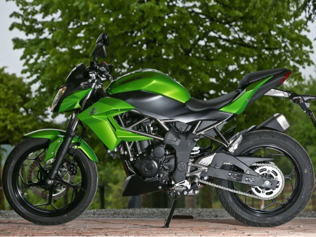 Carenados Moto Kawasaki Z250/Z300 2015-2016 - Verde Negro Mate