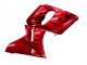 Carenados Moto Kawasaki ZZR600 1998-2003 - Rojo Negro Llama