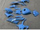Carenados Moto BMW S1000RR 2023-2024 - Azul Brillante