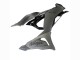 Carenados Moto Kawasaki ZX6R 2023-2026 - Gris Ninja