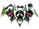 Carenados Moto Kawasaki EX300 2013-2017 - Verde Blanco Rojo Negro Elf