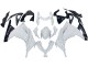 Carenados Moto Kawasaki EX300 2013-2024 - Blanco Negro