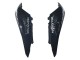 Carenados Moto Aprilia RS125 2006-2011 - Azul Negro Verde Monstruo 46