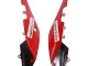 Carenados Moto Aprilia RS4 50 125 2012-2019 - Blanco Rojo Verde Negro Brillante