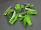 Carenado Moto Kawasaki EX250 2008-2012 - Verde Blanco Negro