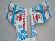 Carenados Moto Honda CBR1000RR 2004-2005 - Blanco Azul Nieve Nastro Azzurro 46