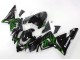Carenados Moto Kawasaki ZX10R 2004-2005 - Negro Verde Llama Ninja