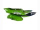 Carenados Moto Kawasaki ZX6R 1998-1999 - Verde Blanco Azul Plata Negro Brillante