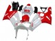 Carenados Moto Kawasaki ZX6R 2003-2004 - Blanco Rojo