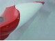 Carenados Moto Yamaha YZF 1000 R1 1998-1999 - Rojo Blanco Negro Dunlop