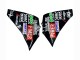 Carenados Moto Yamaha YZF 1000 R1 2012-2014 - Negro Brillante Blanco Rojo Fimer Yamalube Sterilgarda 87