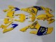 Carenados Moto Yamaha YZF 600 R6 2008-2016 - Amarillo Azul Camello Motul Michelin