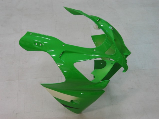Carenados Moto Kawasaki ZX9R 2000-2001 - Verde Plata Negro