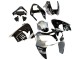 Carenados Moto Kawasaki ZX9R 2002-2003 - Plata Negro Brillante Monstruo Elf
