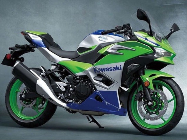 Carenados Moto Kawasaki Ninja 500 EX500R 2024-2026 - Plata Verde Azul