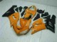 Naranja Kits Completo Carenado Kawasaki ZX6R 2005-2006