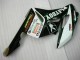 Negro Blanco Kit Carenado Honda CBR 1000 RR 2004-2005