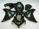 Negro Plástico Honda CBR 1000 RR 2008-2011