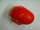 Rojo Plata ABS Plástica Honda CBR 1000 RR 2008-2011