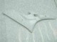 Sin Pintar ABS Carenado Yamaha R6 2006-2007 Sin Pintar ABS Carenado Yamaha R6 2006-2007