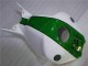 Verde Blanco Carenado Honda CBR 1000 RR 2004-2005