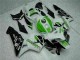 Verde Carrocería Honda CBR 600 RR 2005-2006