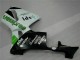 Verde Kit Carenado ABS Completo Honda CBR 600 RR 2005-2006 Verde Kit Carenado ABS Completo Honda CBR 600 RR 2005-2006