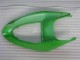 Verde Kits Completo Carenado Kawasaki ZX6R 2005-2006 Verde Kits Completo Carenado Kawasaki ZX6R 2005-2006