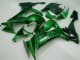 Verde Llama Carenado Kawasaki ZX10R 2008-2010 Verde Llama Carenado Kawasaki ZX10R 2008-2010