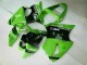 Verde Negro Inyección Kit Carenado Kawasaki ZX6R 2000-2002 Verde Negro Inyección Kit Carenado Kawasaki ZX6R 2000-2002
