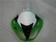 Verde Negro LeoVince Carenado Kawasaki ZX6R 2009-2012 Verde Negro LeoVince Carenado Kawasaki ZX6R 2009-2012