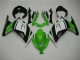 Verde Negro Plata Carenado Kawasaki EX300 2013-2016 Verde Negro Plata Carenado Kawasaki EX300 2013-2016